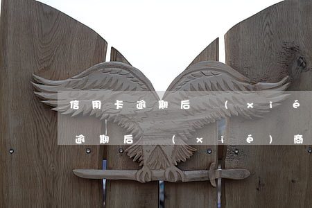信用卡逾期后協(xié)商還款-信用卡逾期后協(xié)商還款后還是逾期了怎么辦