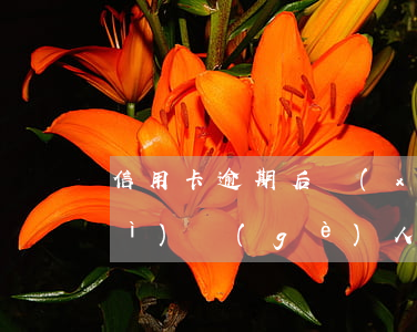 信用卡逾期后協(xié)商還款對(duì)個(gè)人影響-信用卡逾期后協(xié)商還款對(duì)個(gè)人影響大嗎