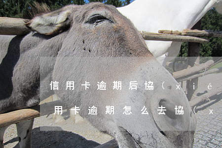 信用卡逾期后協(xié)商還款技巧(欠信用卡逾期怎么去協(xié)商)