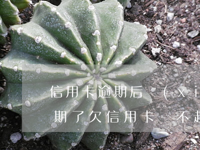 信用卡逾期后協(xié)商還能用嗎(快逾期了欠信用卡還不起跟銀行能有協(xié)商的可能性嗎)