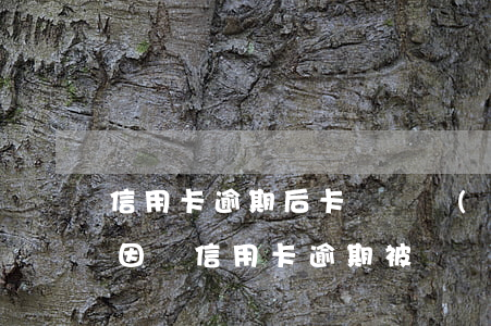 信用卡逾期后卡會凍結(jié)么(銀行卡因為信用卡逾期被凍結(jié))