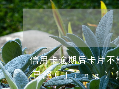 信用卡逾期后卡片不能用(信用卡逾期了卡片已經(jīng)無效怎么辦)