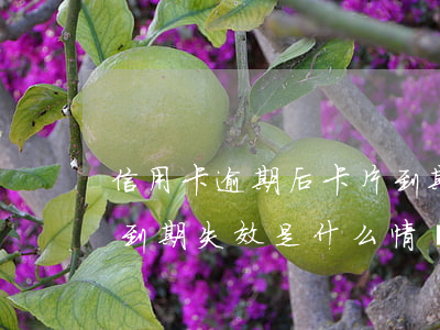 信用卡逾期后卡片到期-信用卡逾期后卡片到期失效是什么情況