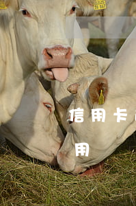信用卡逾期后卡能用嗎-逾期了信用卡還能用嗎