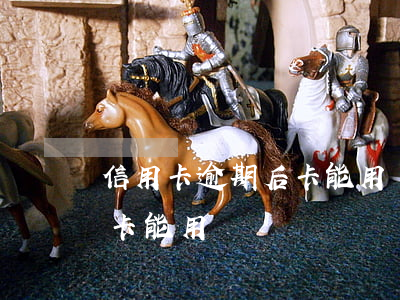 信用卡逾期后卡能用嗎嗎知乎（信用卡逾期后卡能用嗎嗎）