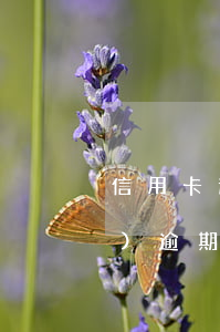 信用卡逾期后卡還能用嗎 之前有過(guò)逾期還能辦信用卡嗎