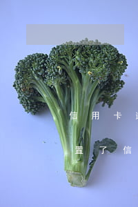 信用卡逾期后卡里還有點余額 設(shè)置了信用卡自動還款,卡里錢也夠還款為什么還會逾期