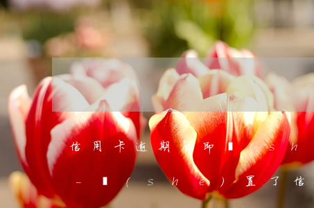信用卡逾期后即時(shí)還款還能用嗎-設(shè)置了信用卡自動(dòng)還款,卡里錢(qián)也夠還款為什么還會(huì)逾期
