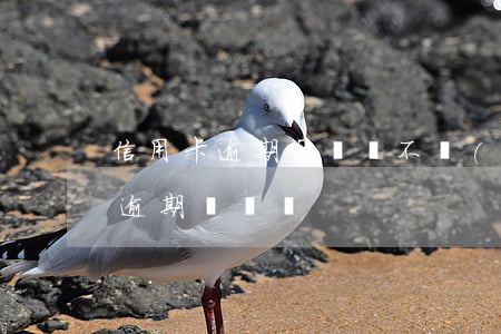 信用卡逾期后卻還不進(jìn)錢(信用卡逾期沒錢還)