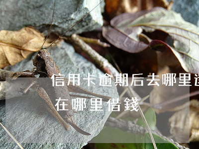 信用卡逾期后去哪里還款(信用卡逾期了還能在哪里借錢)