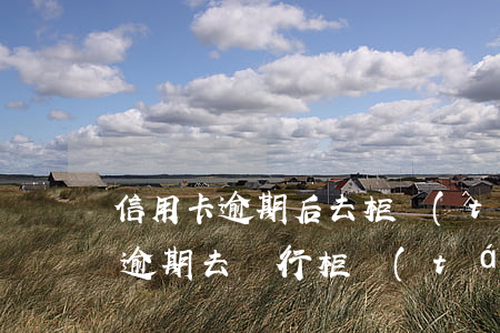 信用卡逾期后去柜臺(tái)還款(信用卡逾期去銀行柜臺(tái)協(xié)商還款可以嗎)