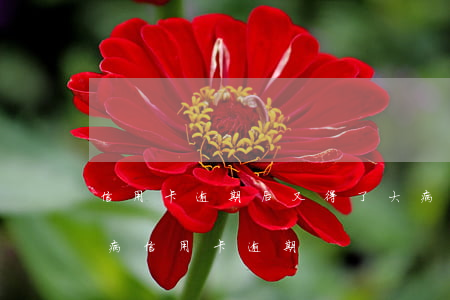 信用卡逾期后又得了大病怎么辦-因重大疾病信用卡逾期