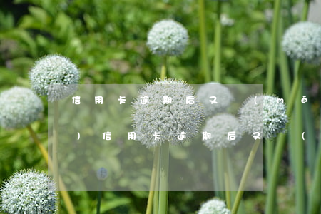 信用卡逾期后又沒(méi)錢(qián)(信用卡逾期后又沒(méi)錢(qián)了)