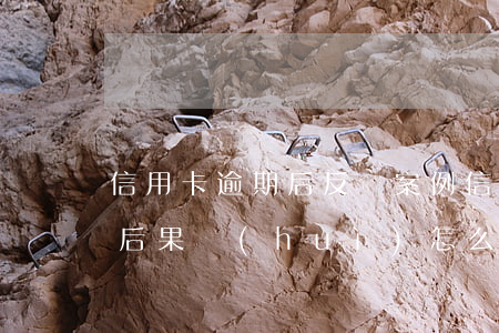 信用卡逾期后反訴案例(信用卡惡意逾期起訴后果會(huì)怎么樣)