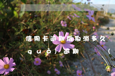 信用卡逾期后取消多久還能辦卡(信用有過(guò)逾期記錄過(guò)多久能再辦卡)