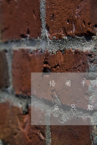 信用卡逾期后只能還錢不能用了(信用卡逾期后只能還錢不能用了怎么辦)