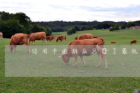 信用卡逾期后只還了最低還款額