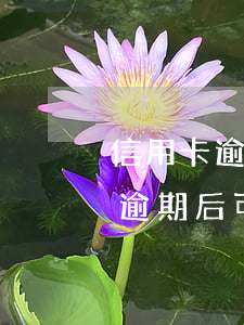 信用卡逾期后可以不接銀行電話嗎-信用卡逾期后可以不接銀行電話嗎怎么辦