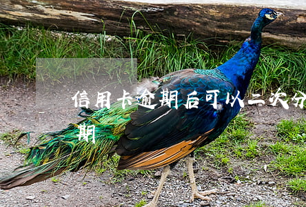 信用卡逾期后可以二次分期嗎(信用卡 逾期 分期)