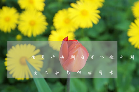 信用卡逾期后可以做分期么(来分期一直逾期会不会影响信用卡)