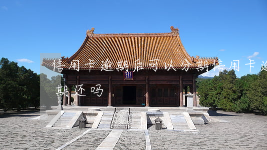 信用卡逾期后可以分期(信用卡逾期后可以分期还吗)