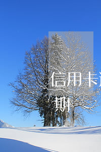 信用卡逾期后可以分期(信用卡逾期后可以分期還嗎)