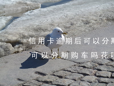信用卡逾期后可以分期购车吗(信用卡逾期后可以分期购车吗花呗)