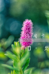 信用卡逾期后可以協(xié)商停息掛賬嗎-欠信用卡可以申請停息掛賬嗎