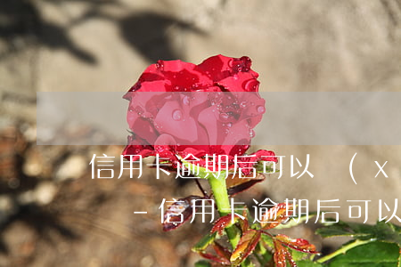 信用卡逾期后可以協(xié)商分期嗎電話-信用卡逾期后可以協(xié)商分期嗎電話號碼