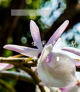 信用卡逾期后可以協(xié)商還款嗎-民生銀行信用卡逾期后可以協(xié)商還款嗎