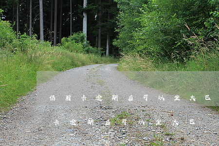 信用卡逾期后可以坐大巴車(chē)(信用卡逾期后可以坐大巴車(chē))