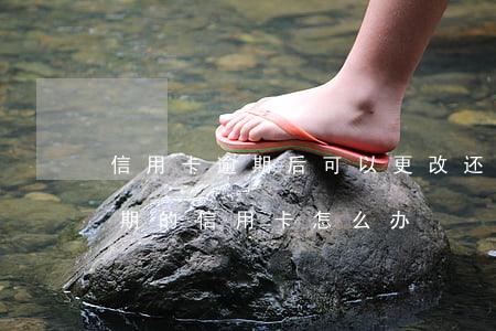 信用卡逾期后可以更改还款日吗(还款还到过期的信用卡怎么办)