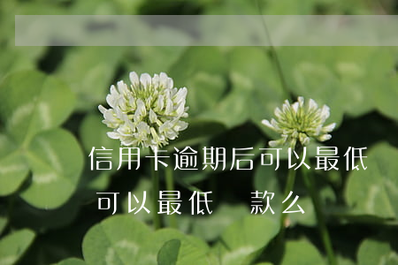 信用卡逾期后可以最低還款么(信用卡逾期后可以最低還款么嗎)