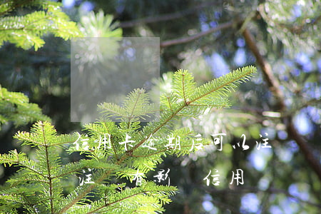 信用卡逾期后可以注銷嗎(信用卡逾期還清了注銷有影響信用嗎)