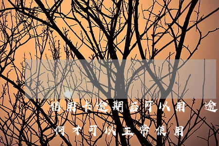 信用卡逾期后可以用嗎(逾期以后的信用卡如何才可以正常使用)