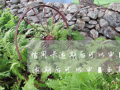 信用卡逾期后可以申請免息嗎花旗-信用卡逾期后可以申請免息嗎花旗銀行