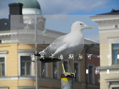 信用卡逾期后可以申請免減手續(xù)費(fèi)還款嗎-信用卡逾期后可以申請免減手續(xù)費(fèi)還款嗎
