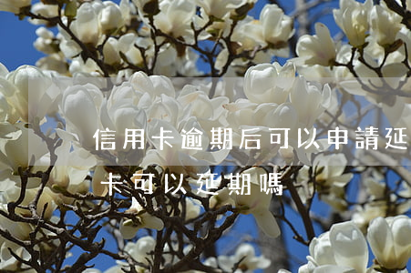 信用卡逾期后可以申請延期嗎-這個月信用卡可以延期嗎