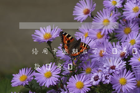 信用卡逾期后可以買房嗎(信用卡有逾期能貸款買房嗎)