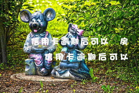信用卡逾期后可以賣房轉(zhuǎn)戶嗎(信用卡逾期后可以賣房轉(zhuǎn)戶嗎)