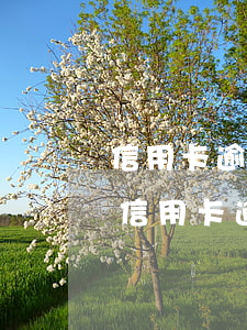 信用卡逾期后可以跟銀行協(xié)商嗎 信用卡逾期后可以跟銀行協(xié)商嗎嗎