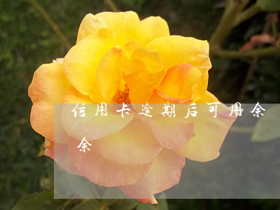 信用卡逾期后可用余額為0(過期的信用卡有余額)