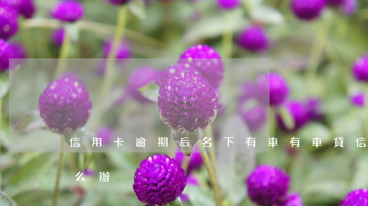 信用卡逾期后名下有車 有車貸信用卡逾期怎么辦