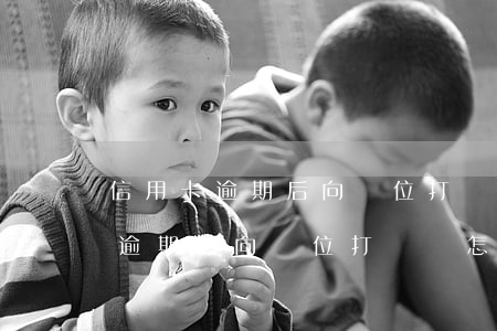 信用卡逾期后向單位打電話怎么辦-信用卡逾期后向單位打電話怎么辦理