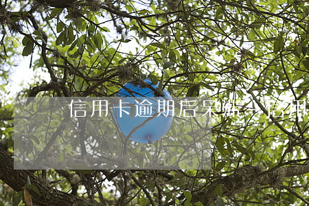 信用卡逾期后呆滞-“信用卡逾期”