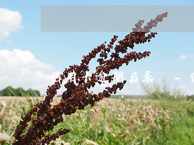 信用卡逾期后呆滯-“信用卡逾期”
