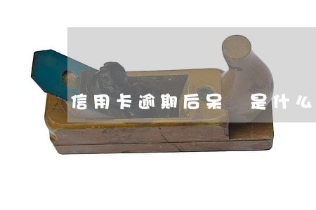 信用卡逾期后呆賬是什么意思 呆賬是逾期嗎