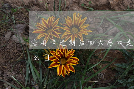 信用卡逾期后四大忌口是啥(信用卡 逾期了怎么辦)