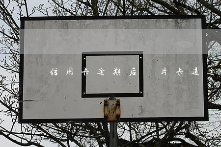 信用卡逾期后圖片卡通(逾期后信用卡還能用嗎)