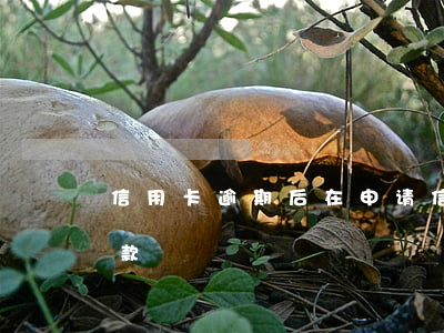 信用卡逾期后在申请 信用卡逾期后在申请贷款